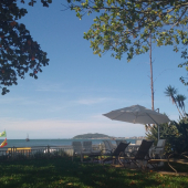 4491d271-4459-4caf-bdd3-9100b8897613