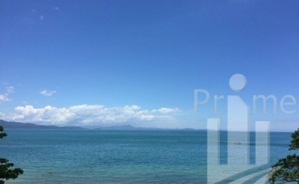 WhatsApp Image 2024-03-01 at 17.29.09