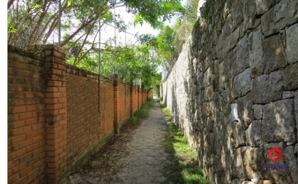 IMG_8782 (800x600) (800x600) (800x600) (640x480)