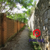 IMG_8782 (800x600) (800x600) (800x600) (640x480)