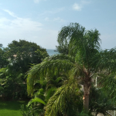 WhatsApp Image 2024-03-04 at 15.24.17 (1)