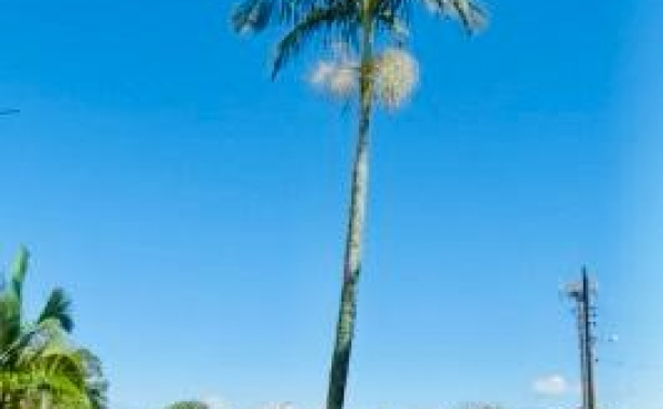 WhatsApp Image 2024-05-16 at 11.38.01 (2) WhatsApp Image 2024-05-16 at 11.38.01 (2)