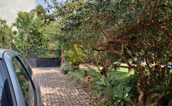 WhatsApp Image 2024-09-11 at 13.21.29 (2) WhatsApp Image 2024-09-11 at 13.21.29 (2)