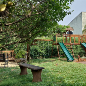 WhatsApp Image 2024-09-11 at 13.21.24 WhatsApp Image 2024-09-11 at 13.21.24