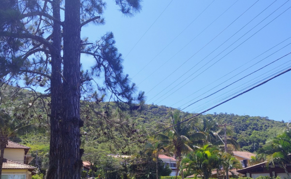 WhatsApp Image 2024-11-14 at 12.50.14 (4)