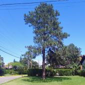 WhatsApp Image 2024-11-14 at 12.50.14 (5)