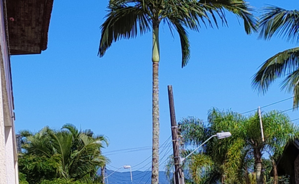 WhatsApp Image 2024-12-17 at 14.30.02 (5)