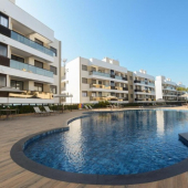 WhatsApp Image 2025-01-24 at 12.33.51