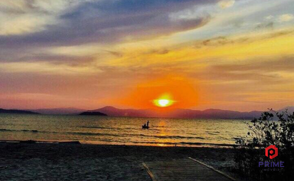 ddf6cb49-95eb-4d61-801c-6ca7ea5596d9 ddf6cb49-95eb-4d61-801c-6ca7ea5596d9