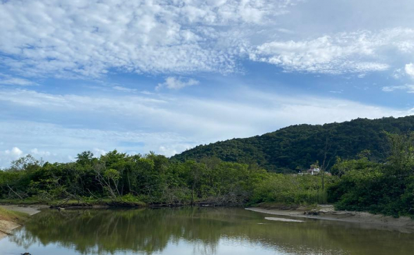 WhatsApp Image 2025-01-28 at 08.14.53 (1) WhatsApp Image 2025-01-28 at 08.14.53 (1)