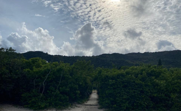 WhatsApp Image 2025-01-28 at 08.14.53 (2) WhatsApp Image 2025-01-28 at 08.14.53 (2)