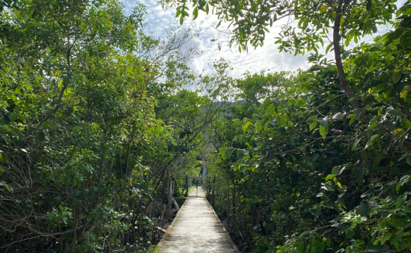 WhatsApp Image 2025-01-28 at 08.14.53 (4) WhatsApp Image 2025-01-28 at 08.14.53 (4)