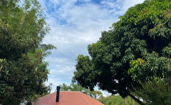 WhatsApp Image 2025-01-28 at 08.14.54 (2) WhatsApp Image 2025-01-28 at 08.14.54 (2)