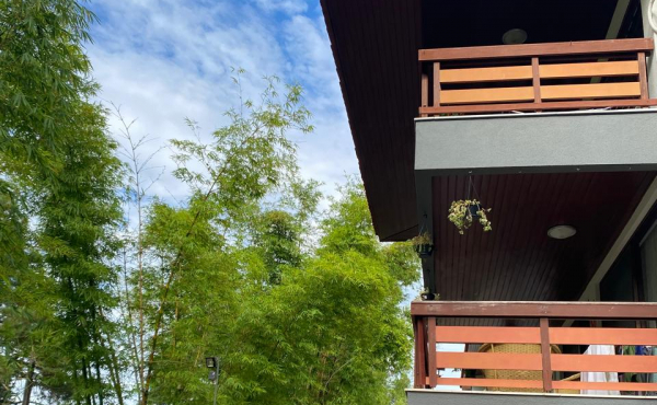 WhatsApp Image 2025-01-28 at 08.14.54 (3) WhatsApp Image 2025-01-28 at 08.14.54 (3)