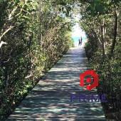 09ac0b8d-cfb6-4329-a690-98bfd374ca17 - Cópia