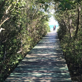 WhatsApp Image 2018-08-21 at 11.33.01 (1)