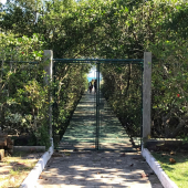 WhatsApp Image 2018-08-21 at 11.33.01 (2)