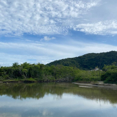 WhatsApp Image 2025-01-28 at 08.14.53 (1)