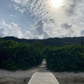 WhatsApp Image 2025-01-28 at 08.14.53 (2)