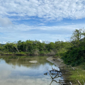 WhatsApp Image 2025-01-28 at 08.14.53 (3)