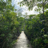 WhatsApp Image 2025-01-28 at 08.14.53 (4)