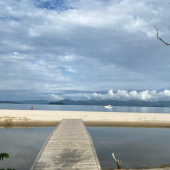 WhatsApp Image 2025-01-28 at 08.14.53 (5)