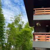 WhatsApp Image 2025-01-28 at 08.14.54 (3)