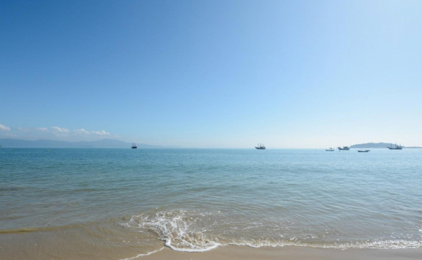 WhatsApp Image 2025-03-21 at 10.59.48 (3) WhatsApp Image 2025-03-21 at 10.59.48 (3)