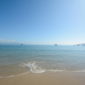 WhatsApp Image 2025-03-21 at 10.59.48 (3)