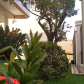 WhatsApp Image 2025-06-03 at 11.12.20 (1)