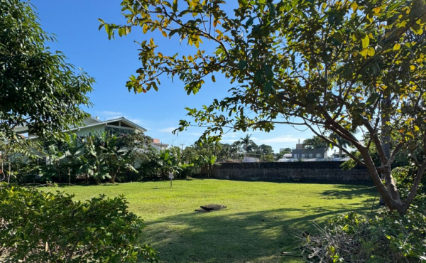 WhatsApp Image 2025-06-11 at 16.28.50 WhatsApp Image 2025-06-11 at 16.28.50