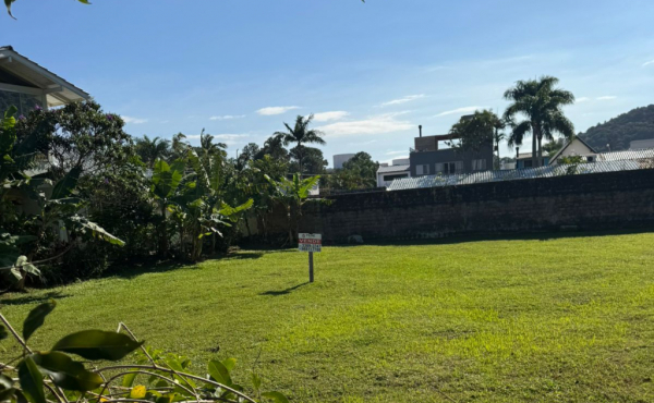 WhatsApp Image 2025-06-11 at 16.28.53 WhatsApp Image 2025-06-11 at 16.28.53