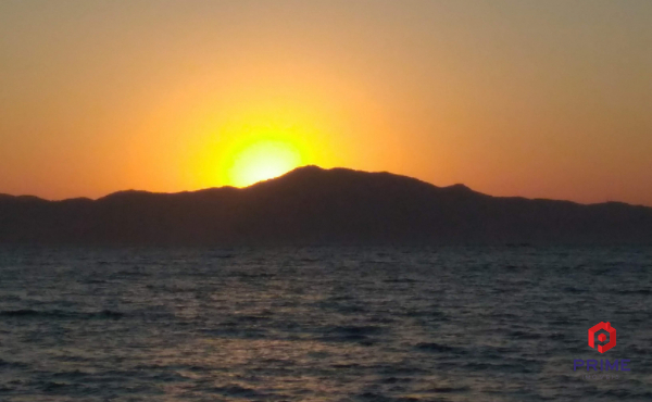 IMG_20200620_171824827