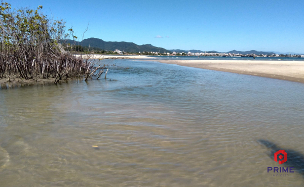 IMG_20200421_114746285_HDR