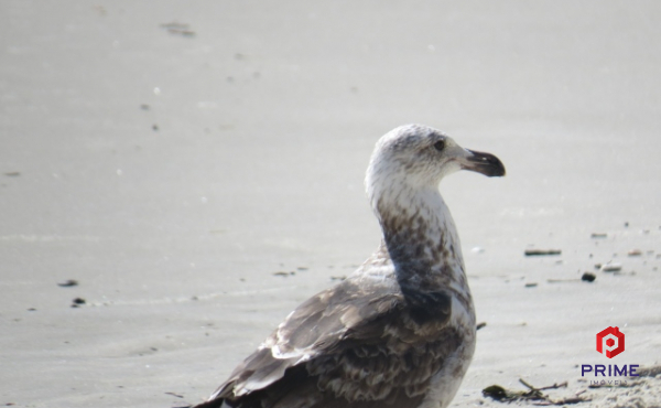 WhatsApp Image 2019-08-14 at 15.30.05 (7) (640x480)