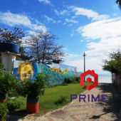 WhatsApp Image 2019-08-14 at 15.30.05 (4) (480x640)