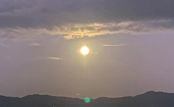 WhatsApp Image 2025-11-06 at 14.26.42 (2) WhatsApp Image 2025-11-06 at 14.26.42 (2)