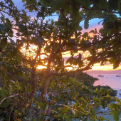 WhatsApp Image 2025-11-06 at 14.26.48 (1)