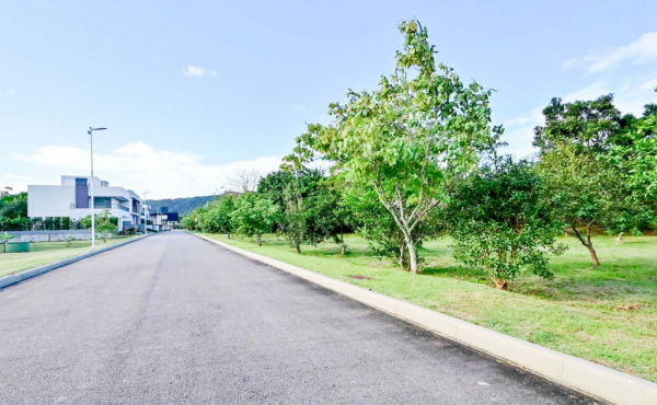 WhatsApp Image 2025-11-12 at 10.06.32 (2) WhatsApp Image 2025-11-12 at 10.06.32 (2)