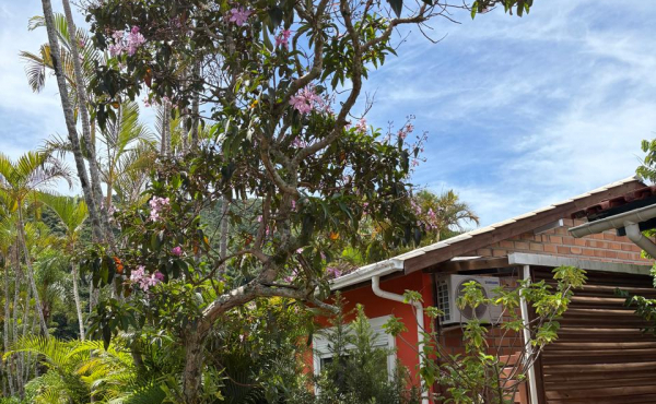 WhatsApp Image 2026-02-25 at 11.05.03 (3) WhatsApp Image 2026-02-25 at 11.05.03 (3)