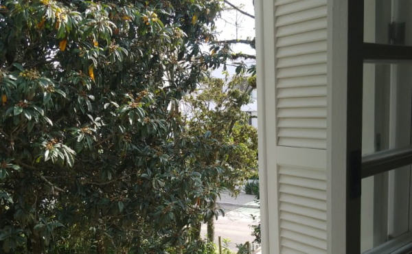 WhatsApp Image 2022-07-18 at 16.34.24 (2)