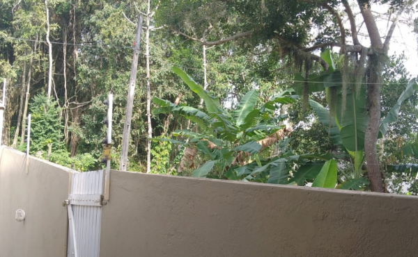 WhatsApp Image 2022-07-18 at 16.34.36 (1)